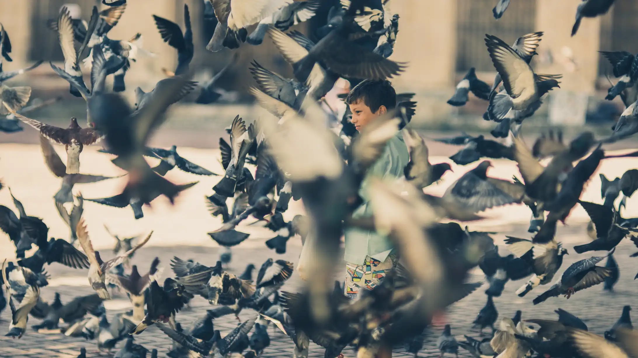 Fotografo Santo Domingo Zona Colonial Fotografo Santo Domingo Zona Colonial Republica Dominicana sesion de fotos