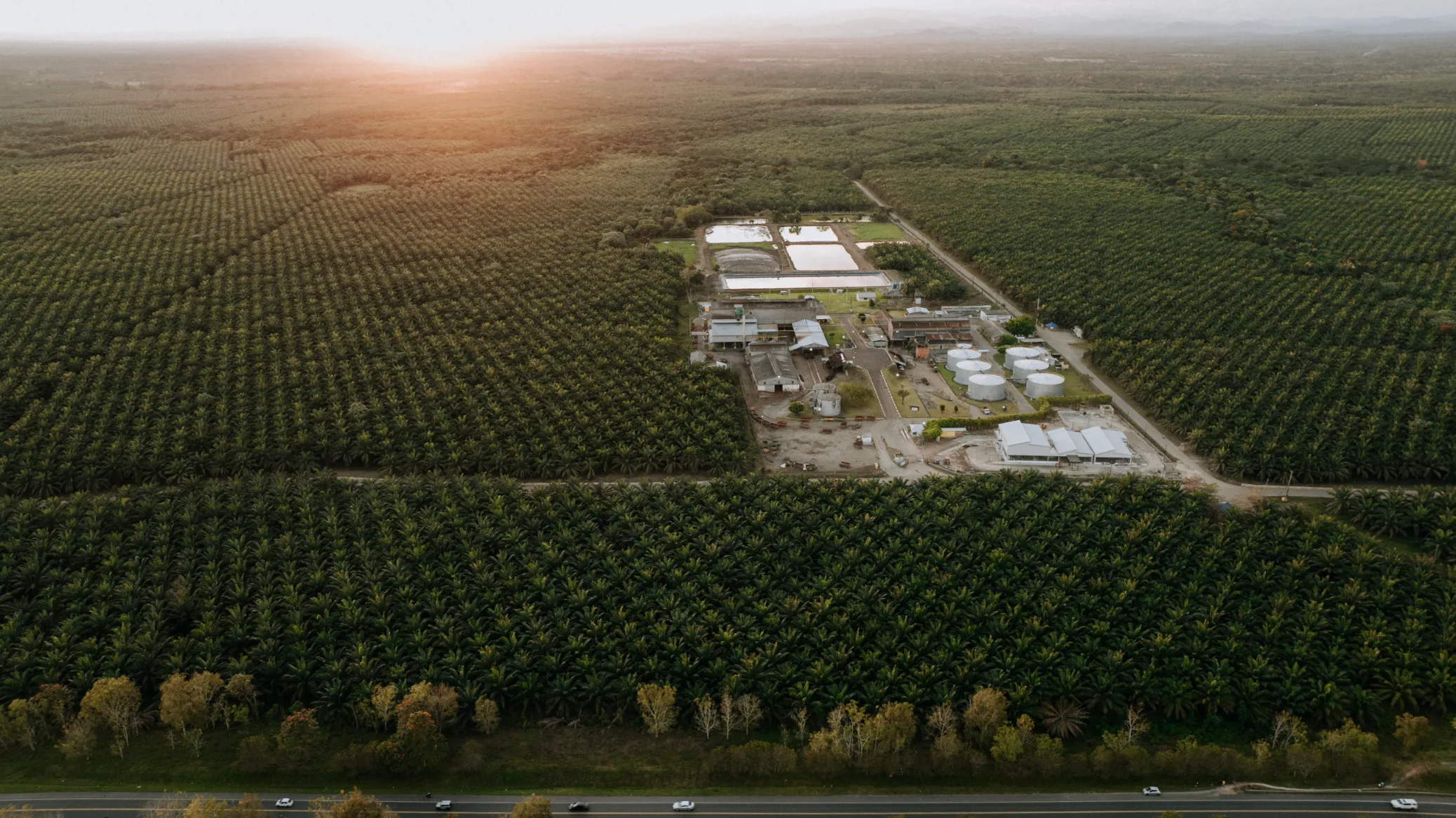 Complejo Industrial desde Perspectiva Aérea Fotografía aérea con drone de complejo industrial rodeado de campos verdes bajo luz dorada del atardecer en República Dominicana
